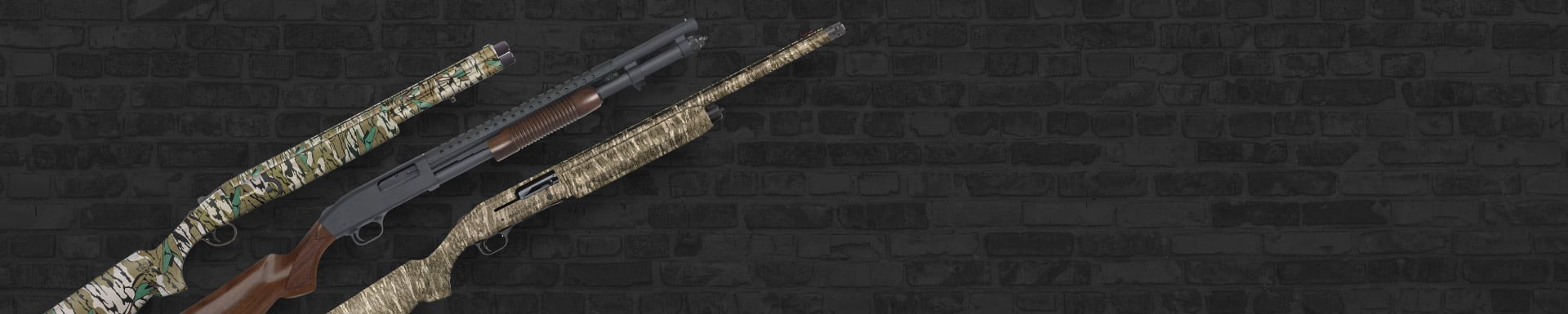 5031 Crow Site Banner - Mossberg - Cat Banner_Desktop