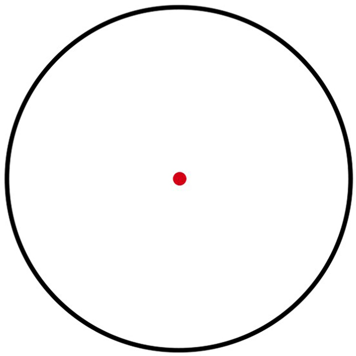 430118123_25.jpg